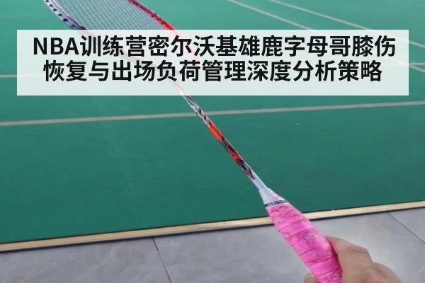 NBA训练营密尔沃基雄鹿字母哥膝伤恢复与出场负荷管理深度分析策略